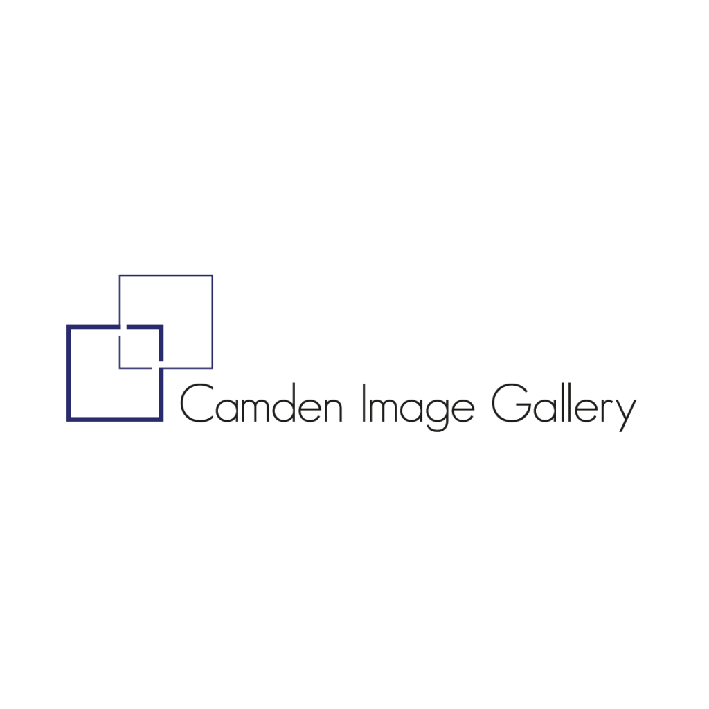 Camden Image Gallery logo – minimalist line drawing in blue